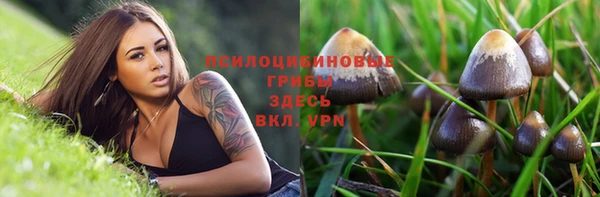 прущие грибы Алексеевка