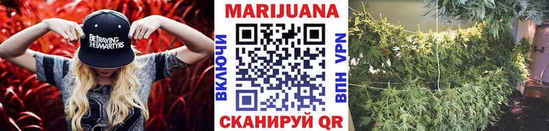 как найти закладки  Королёв  shop официальный сайт  Бошки Шишки сатива 